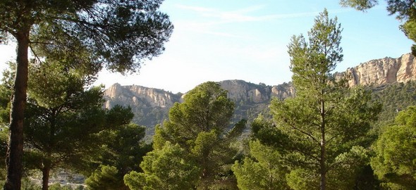 green-pastures-await-your-discovery-in-the-heart-of-the-costa-blanca-xorret-de-cati