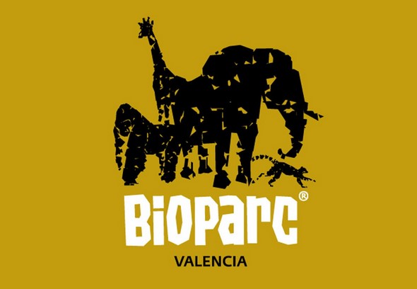 learn-about-the-treasures-hidden-within-the-bioparc-de-valencia