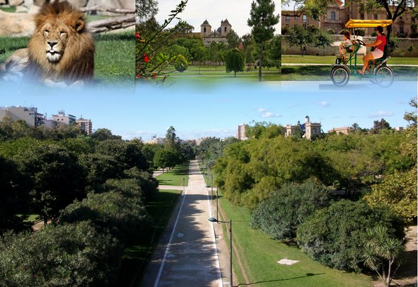 the-jardines-del-turia-a-natural-paradise-on-the-shores-of-turia