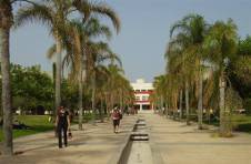 Thumbnail Alicante University gardens 